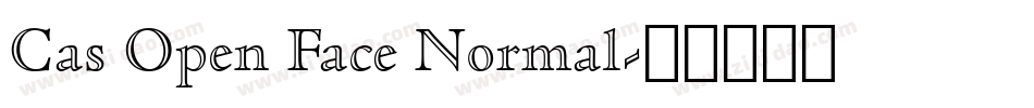 Cas Open Face Normal字体转换